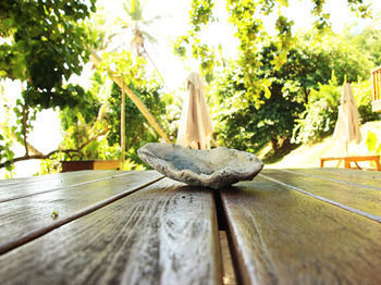 Surfers Self Catering Takamaka