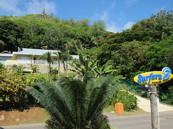 Surfers Beach Self Catering Chalets Chalet *