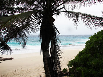 Surfers Beach Self Catering Chalets Chalet *