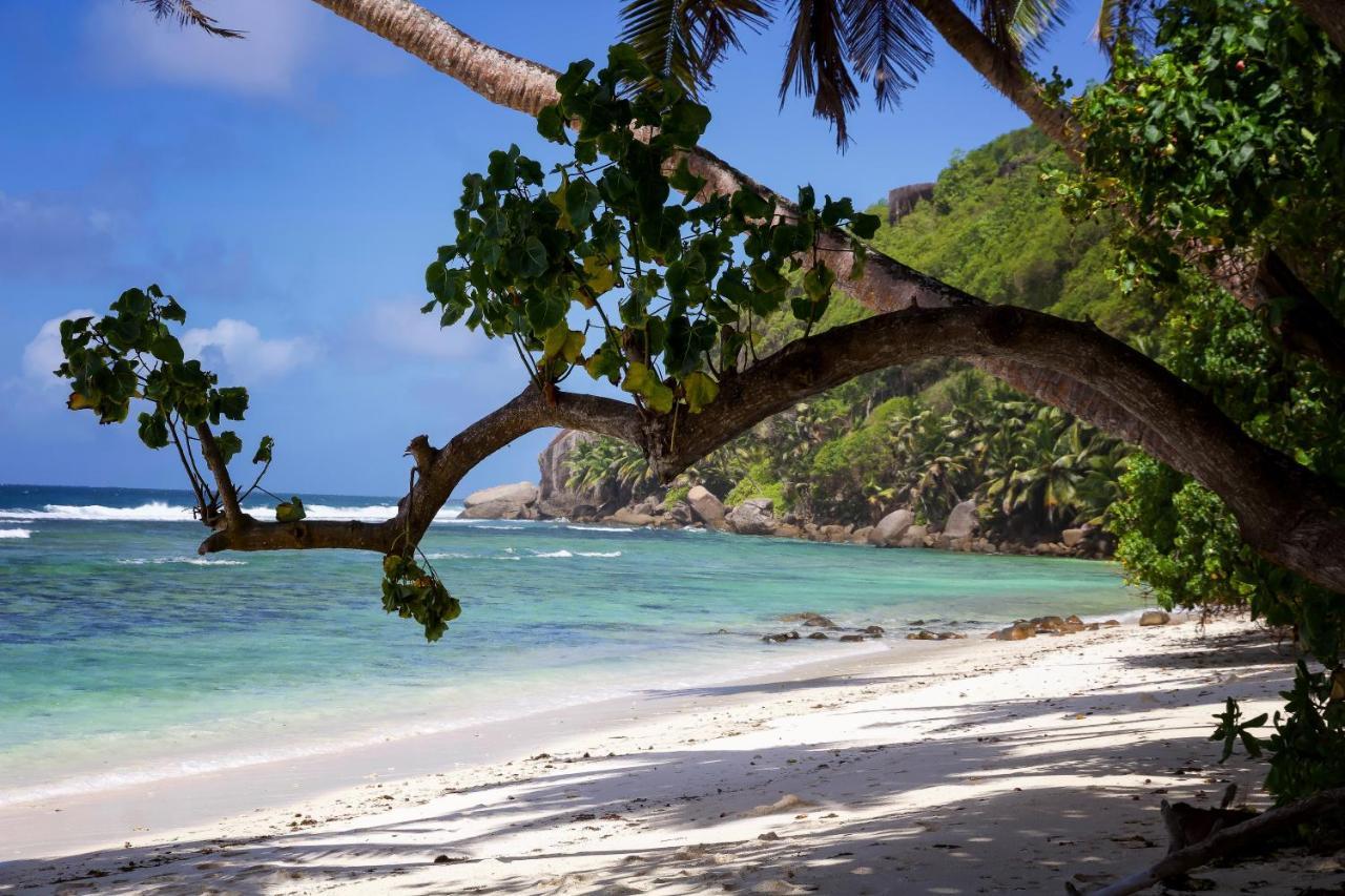 Surfers Beach Self Catering Chalets Chalet Takamaka